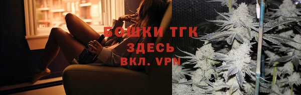 сатива Куйбышев