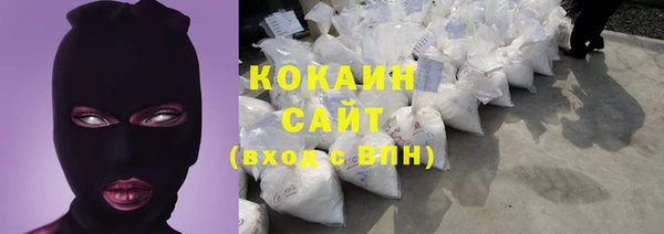шишки Лагань