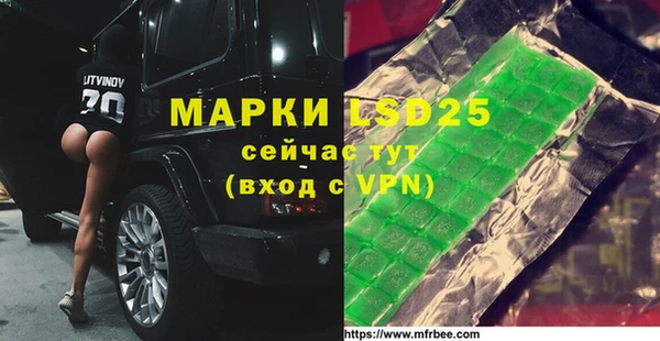 спиды Кукмор