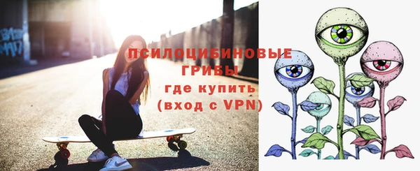 шишки Лагань