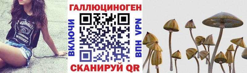 Галлюциногенные грибы мухоморы  Купить  Сусуман 